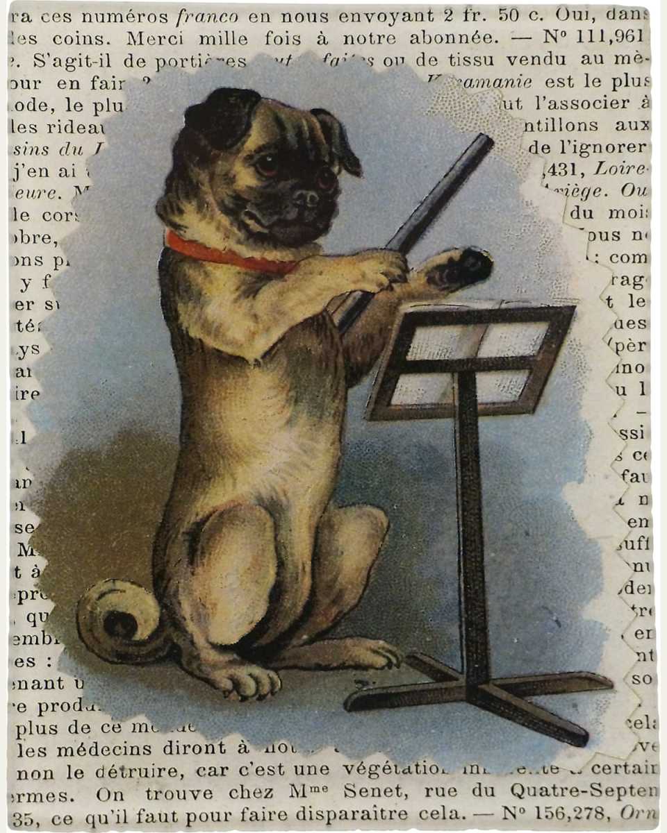 Pug Conductor Tiny Rectangular Tray, 3" x 5"